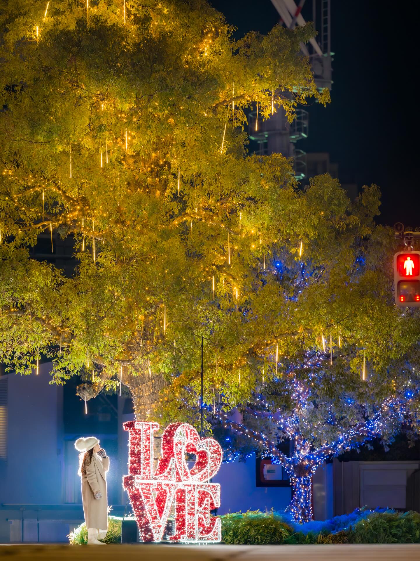 麦焼酎「西の星」（三和酒類株式会社）賞