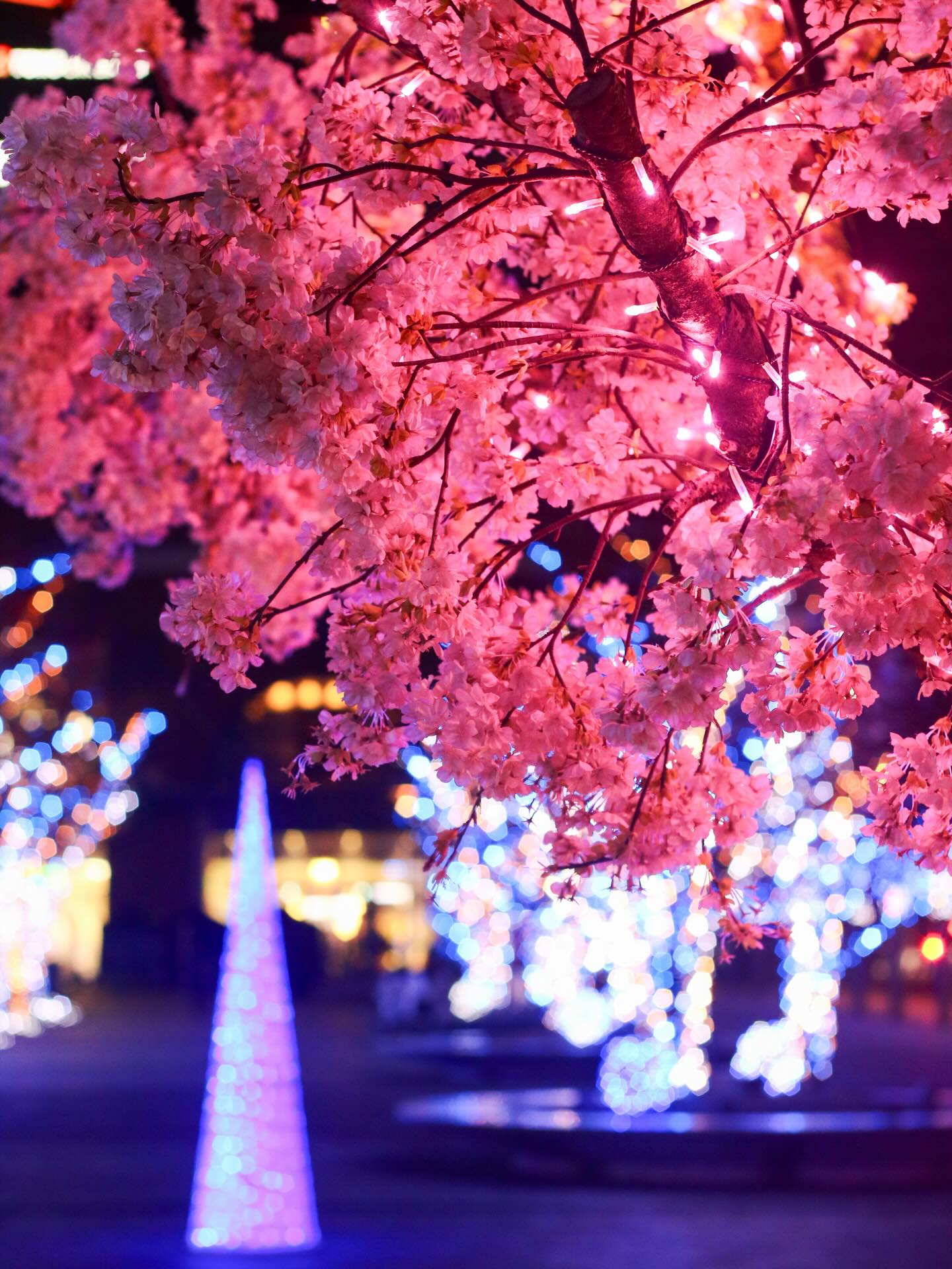 アイネス パープルリボンプロジェクト賞