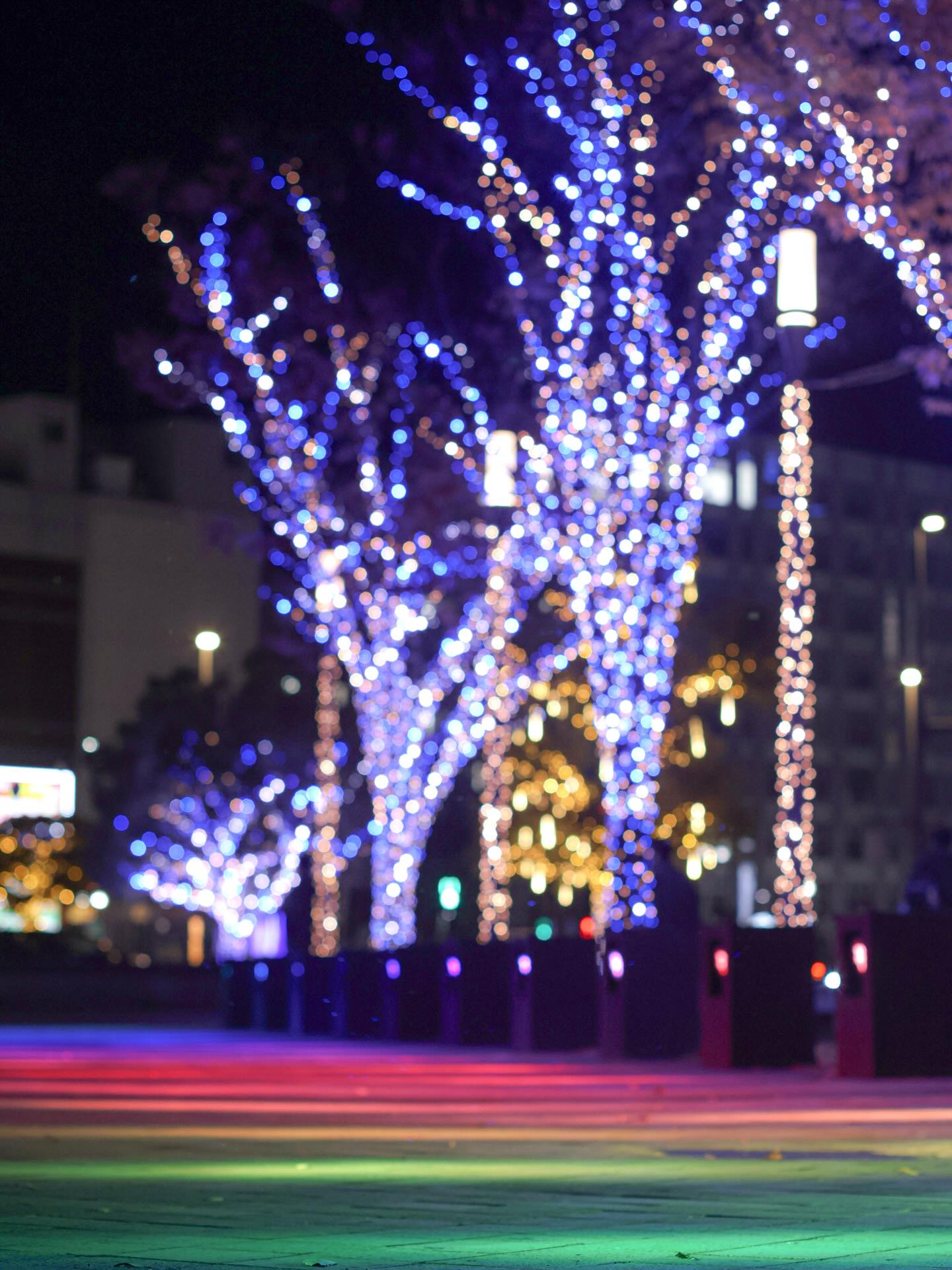 アイネス パープルリボンプロジェクト賞